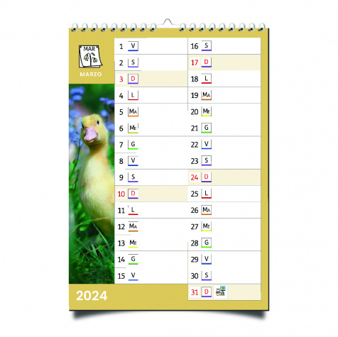 Calendario Symbook 2024