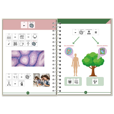 Symbook classe 4ª <br/> Scienze formato Esteso