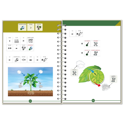 Symbook classe 4ª <br/> Scienze formato Esteso