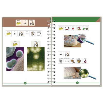 Symbook classe 4ª <br/> Scienze formato Base