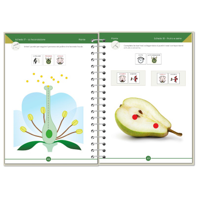 Symbook classe 4ª <br/> Scienze formato Base