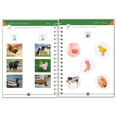 Symbook classe 4ª <br/> Scienze formato Base