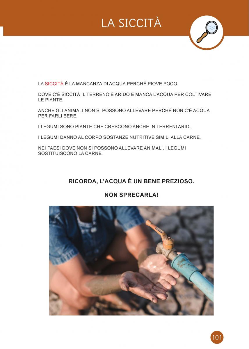 Pagina interna sui legumi